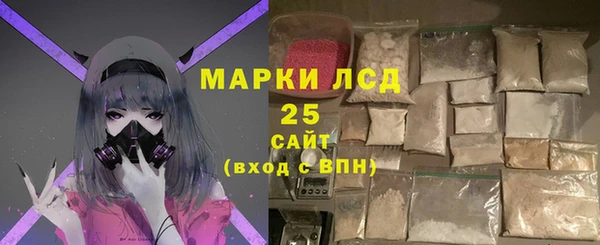 хмурый Нея