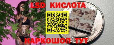 spice Донецк