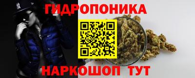 бошки Дубна