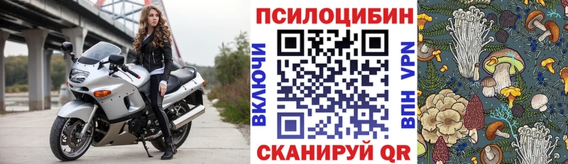 ссылка на мегу сайт  Новочеркасск  Галлюциногенные грибы Cubensis 